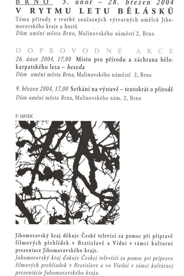 DU1163-2-katalog-002.jpeg